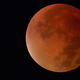 Imagen para el artículo titulado Las mejores fotos del eclipse total y la superluna de ayer